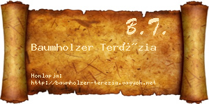 Baumholzer Terézia névjegykártya